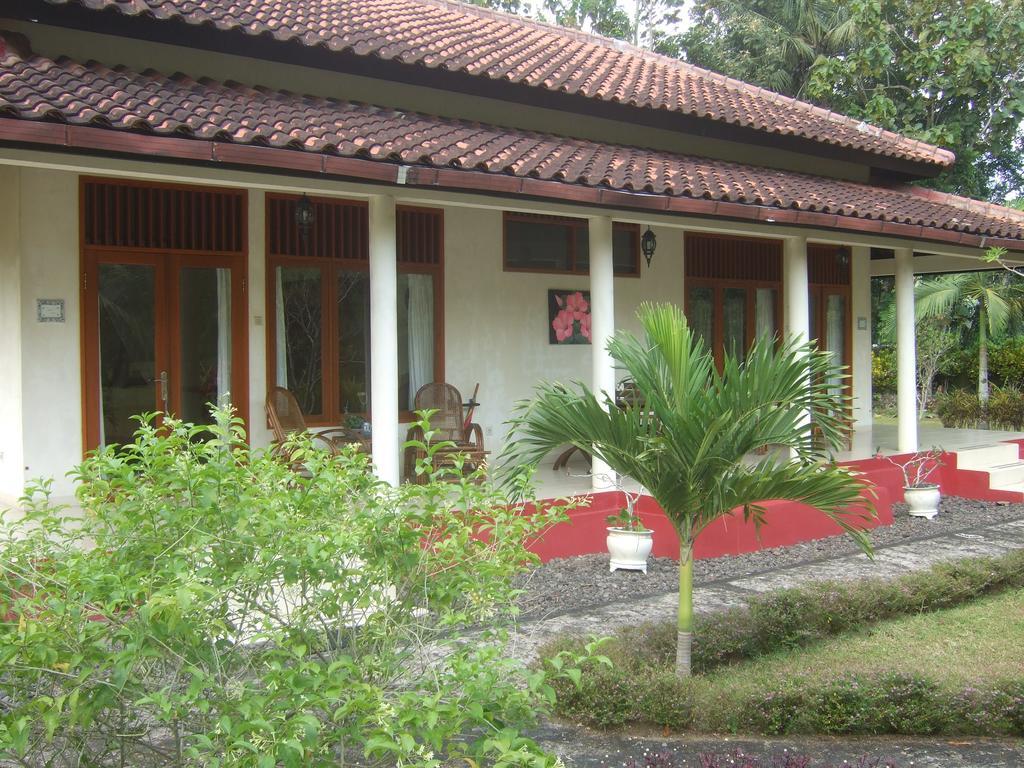 Guesthouse Rumah Senang Kalibaru Kültér fotó